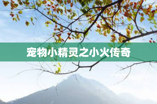 宠物小精灵之小火传奇