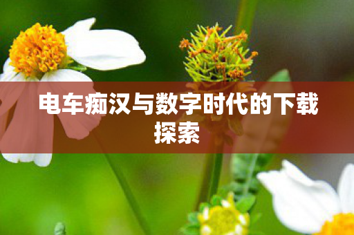 电车痴汉与数字时代的下载探索