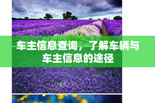 车主信息查询，了解车辆与车主信息的途径