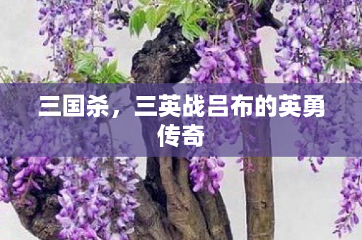 三国杀，三英战吕布的英勇传奇