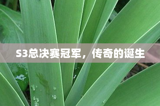 S3总决赛冠军，传奇的诞生