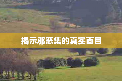 揭示邪恶集的真实面目