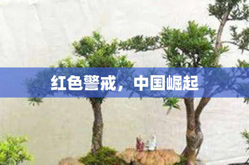 红色警戒，中国崛起