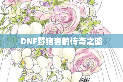 DNF野猪套的传奇之路