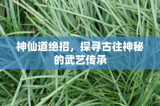 神仙道绝招，探寻古往神秘的武艺传承