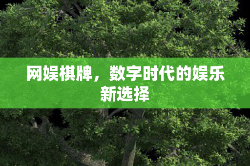 网娱棋牌，数字时代的娱乐新选择