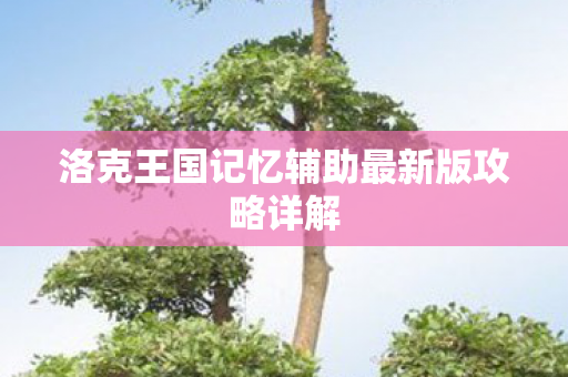 洛克王国记忆辅助最新版攻略详解