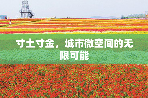 寸土寸金，城市微空间的无限可能