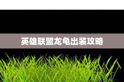 英雄联盟龙龟出装攻略