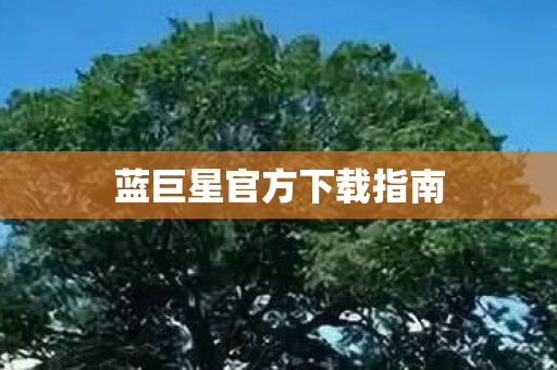 蓝巨星官方下载指南