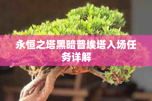 永恒之塔黑暗普埃塔入场任务详解