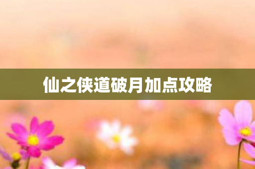 仙之侠道破月加点攻略