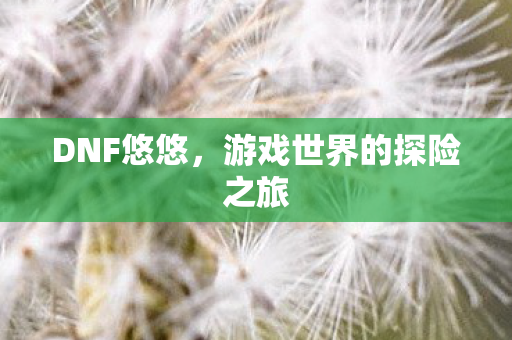 DNF悠悠，游戏世界的探险之旅