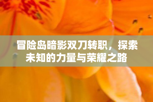 冒险岛暗影双刀转职，探索未知的力量与荣耀之路