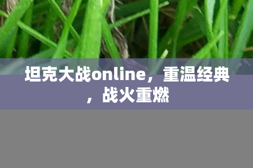 坦克大战online，重温经典，战火重燃