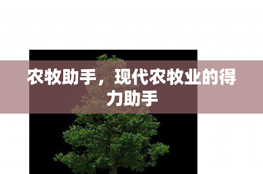 农牧助手，现代农牧业的得力助手