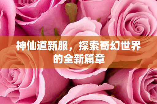 神仙道新服，探索奇幻世界的全新篇章