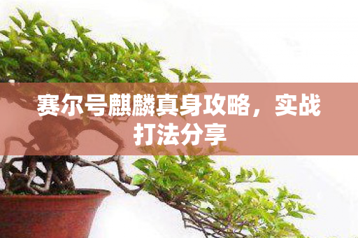 赛尔号麒麟真身攻略，实战打法分享