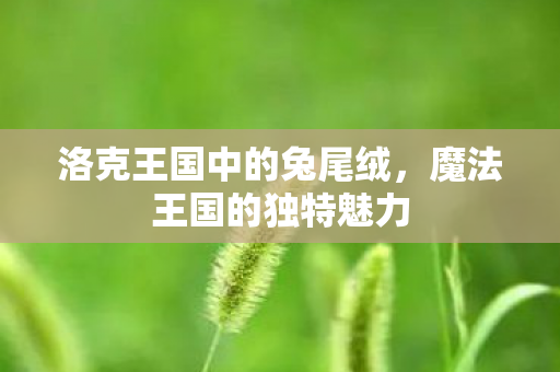 洛克王国中的兔尾绒，魔法王国的独特魅力