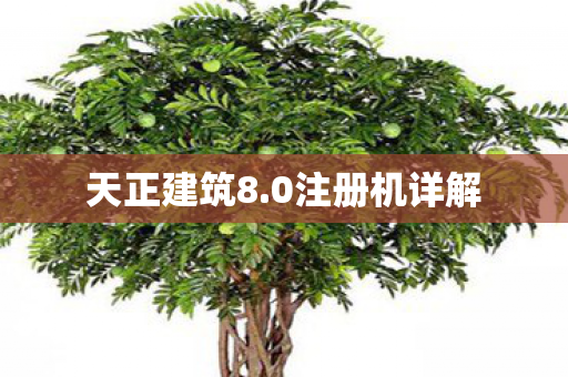 天正建筑8.0注册机详解