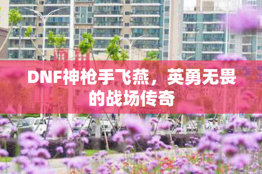 DNF神枪手飞燕，英勇无畏的战场传奇