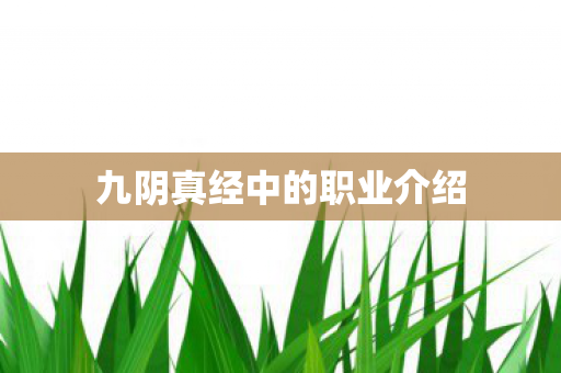 九阴真经中的职业介绍