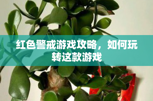 红色警戒游戏攻略，如何玩转这款游戏