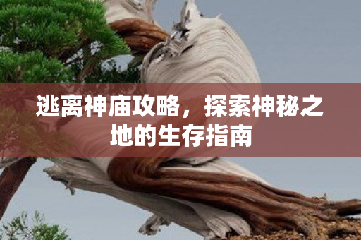 逃离神庙攻略，探索神秘之地的生存指南