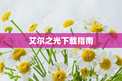 艾尔之光下载指南