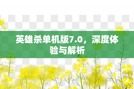 英雄杀单机版7.0，深度体验与解析