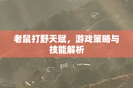 老鼠打野天赋，游戏策略与技能解析