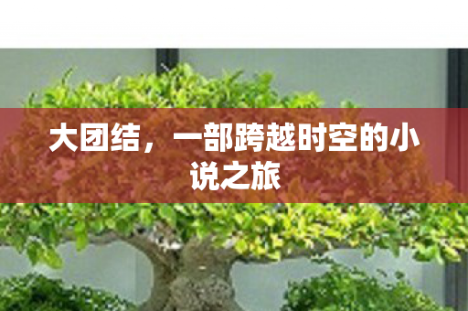 大团结，一部跨越时空的小说之旅