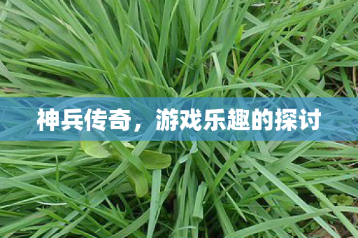 神兵传奇，游戏乐趣的探讨