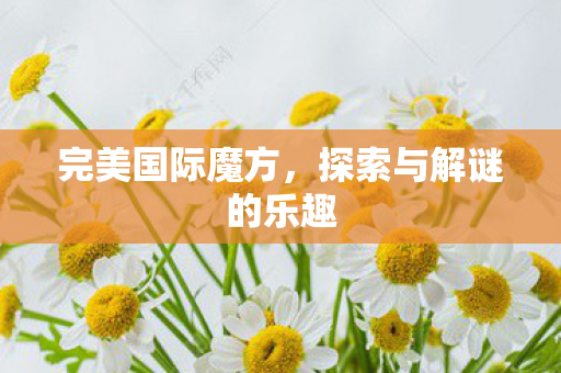 完美国际魔方，探索与解谜的乐趣