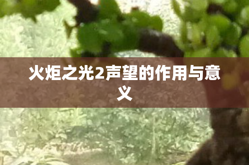 火炬之光2声望的作用与意义