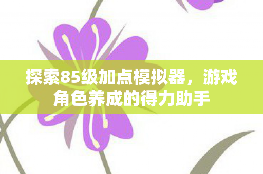 探索85级加点模拟器，游戏角色养成的得力助手