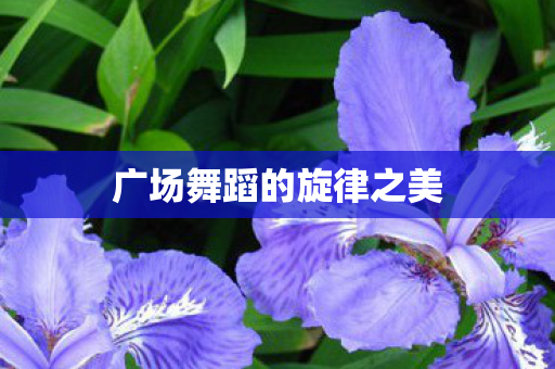 广场舞蹈的旋律之美