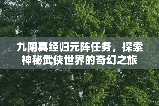 九阴真经归元阵任务，探索神秘武侠世界的奇幻之旅