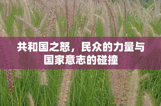 共和国之怒，民众的力量与国家意志的碰撞