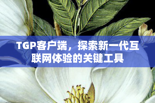 TGP客户端，探索新一代互联网体验的关键工具