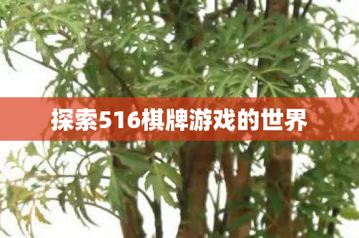 探索516棋牌游戏的世界