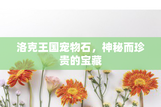 洛克王国宠物石，神秘而珍贵的宝藏