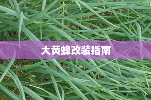 大黄蜂改装指南