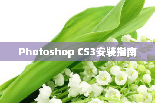Photoshop CS3安装指南