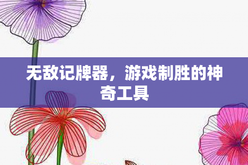 无敌记牌器，游戏制胜的神奇工具