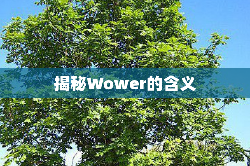 揭秘Wower的含义