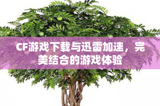 CF游戏下载与迅雷加速，完美结合的游戏体验
