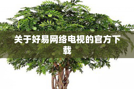 关于好易网络电视的官方下载