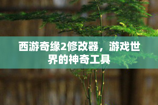 西游奇缘2修改器，游戏世界的神奇工具
