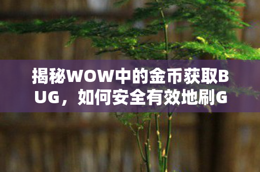 揭秘WOW中的金币获取BUG，如何安全有效地刷G